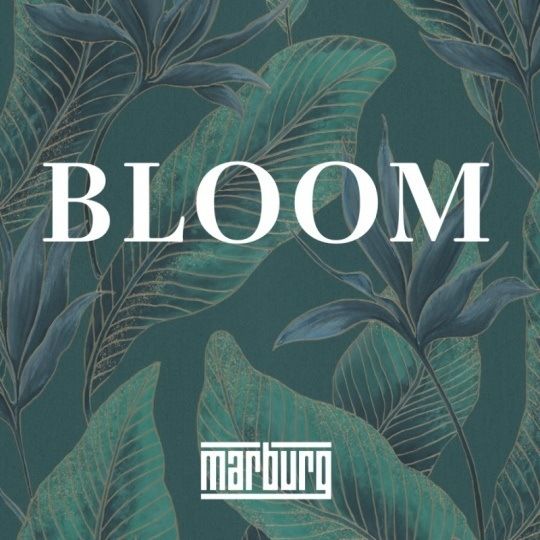 BLOOM