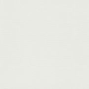 Шпалери Erismann Play of Light XL 12193-01 фон білий