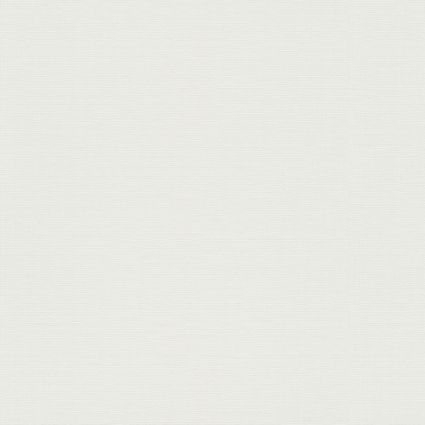 Шпалери Erismann Play of Light XL 12193-01 фон білий