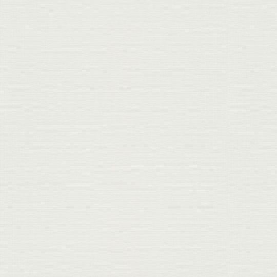 Шпалери Erismann Play of Light XL 12193-01 фон білий