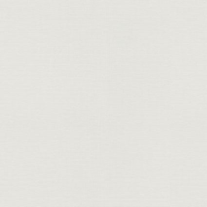 Шпалери Erismann Play of Light XL 12193-26 фон біло-сірий