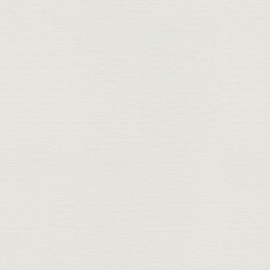 Шпалери Erismann Play of Light XL 12193-26 фон біло-сірий