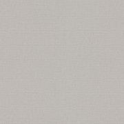 Шпалери Erismann Play of Light XL 12193-37 фон світло-сірий