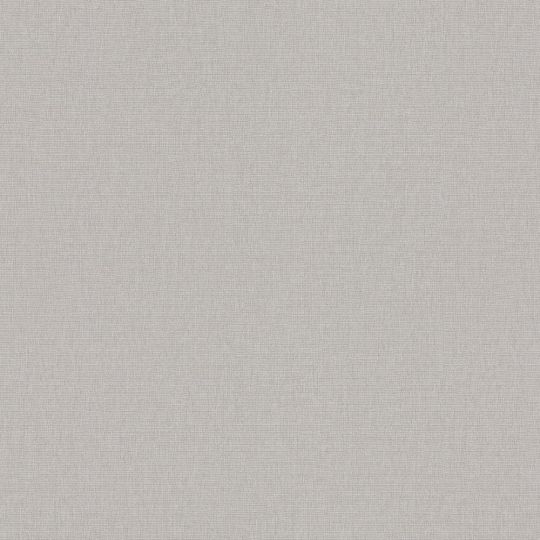 Шпалери Erismann Play of Light XL 12193-37 фон світло-сірий