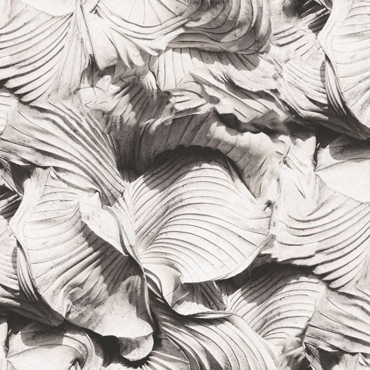 Шпалери DUKA CAVE 27113-1 3D листя теплий сірий