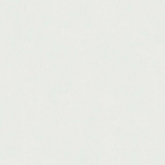 Обои Marburg BLOOM 36109 белый