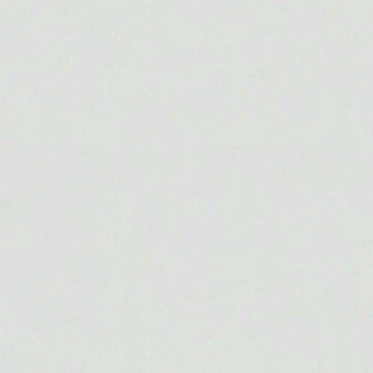 Шпалери Marburg BLOOM 36373 біло-сірий фон