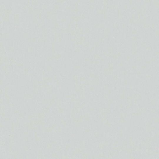 Шпалери Marburg BLOOM 36374  сріблястий фон