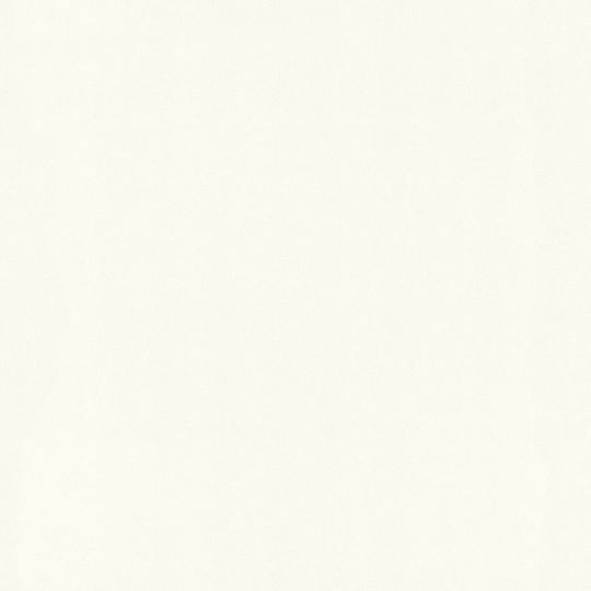 Обои AS Creation Trendwall 3680-03 однотонные белые перламутровые