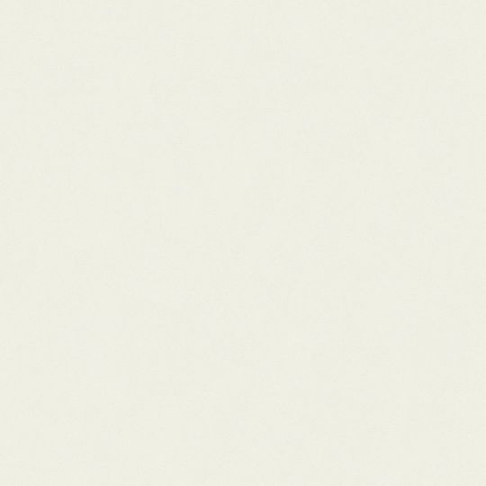 Шпалери AS Creation Trendwall 3690-86 фонові білі з блискітками