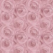 Шпалери AS Creation Roses 37644-1 3D троянди рожеві