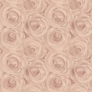 Обои AS Creation Roses 37644-2 3D розы персиковые