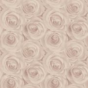 Метровые обои AS Creation Roses 37644-2 персиковые розы 3D эффект