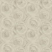 Шпалери AS Creation Roses 37644-3 3D троянди кремові