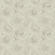 Метровые обои AS Creation Roses 37644-3 кремовые розы 3D эффект