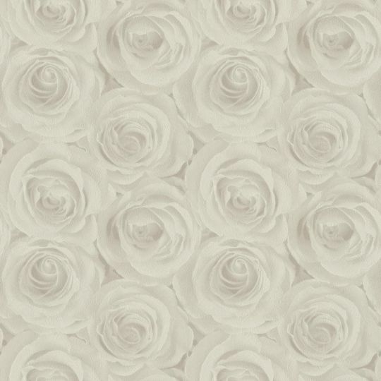 Метровые обои AS Creation Roses 37644-3 кремовые розы 3D эффект