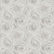 Метровые обои AS Creation Roses 37644-4 серые розы 3D эффект