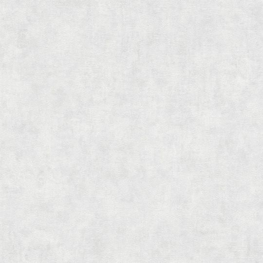 Шпалери AS Creation Metropolitan by time 38922-1 штукатурка сіра