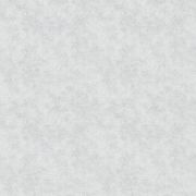 Шпалери AS Creation Unita 39407-1 штукатурка світло-сіра