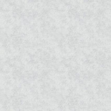 Обои AS Creation Unita 39407-1 штукатурка светло-серая