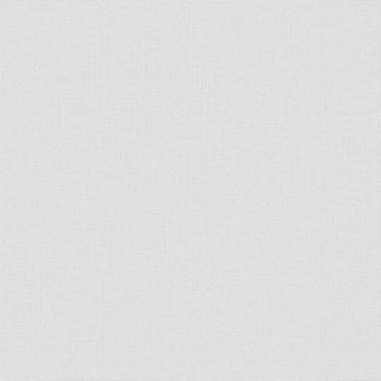 Шпалери AS Creation Unita 39993-2 соломка сіра блакить