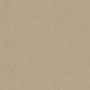 Шпалери AS Creation Unita 79021-1 стіна коричнева