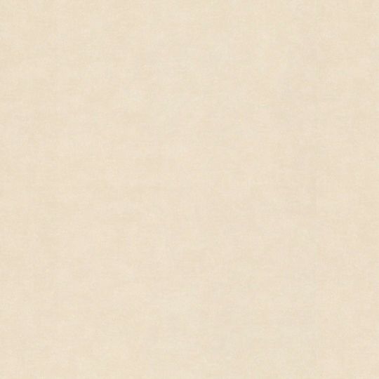 Обои Rasch ComeHome 910032 бежевый фон