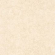 Обои Caselio Beton 2 BTO101481123 бетон нежый беж
