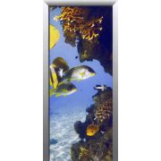 Фотообои бумажные AG FT0003 коралловые рыбки 92 х 210 см вертикальные