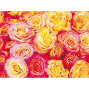 Фотообои бумажные AG FT0070 яркие розы 180x270 см
