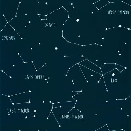 Дитячі шпалери Caselio Our Planet OUP101916918 сузір'я нічне небо