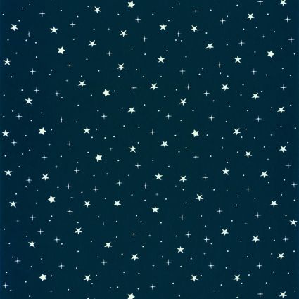 Дитячі шпалери Caselio Our Planet OUP101926918 зоряне небо темно-синє