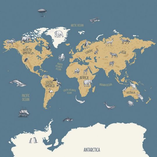 Панно Caselio Our Planet OUP102032066 карта світу