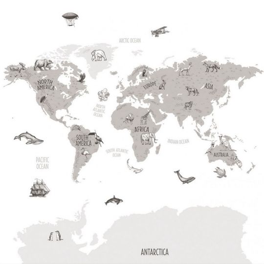 Панно Caselio Our Planet OUP102039918 карта світу біло-сіра