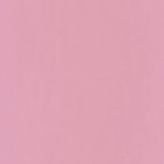 Шпалери Caselio Pretty Lili PRLI66325302 фонові рожеві