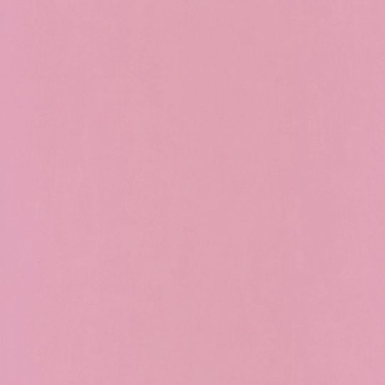 Шпалери Caselio Pretty Lili PRLI66325302 фонові рожеві