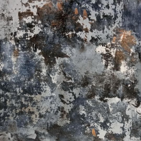 Обои 2 сорт Grandeco Opportunity Q0124