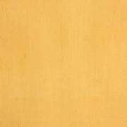 Шпалери Caselio Seasons SEN61293030 однотонні жовті