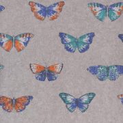 Обои Caselio Street Art SRE68214546 бабочки разноцветные
