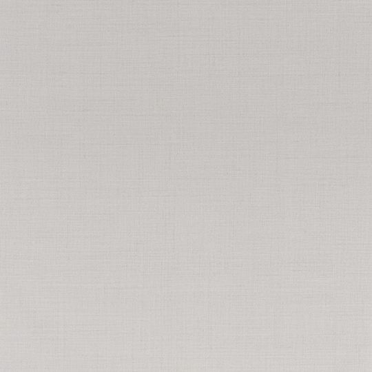 Шпалери Casadeco Williamsburg WIL28411114 однотонні світло-сірі