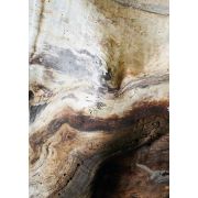 Панно Casadeco Woods WOOD86151575 фактурне дерево 200 х 280 см