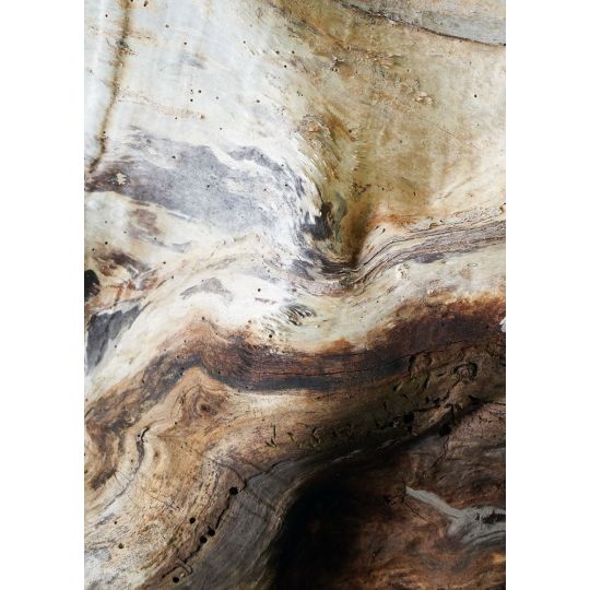 Панно Casadeco Woods WOOD86151575 фактурное дерево 200 х 280 см