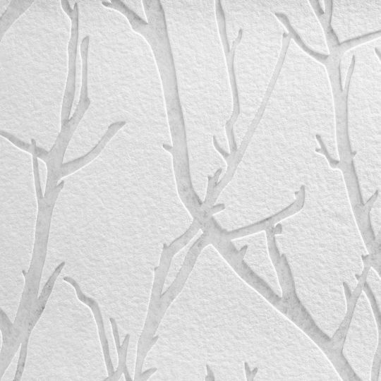 Шпалери 3211-14 AS Creation Meister Vlies 1.06 х 25 м